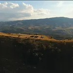La Dimora Del Contadino לינה וארוחת בוקר פייטרפרטוזה