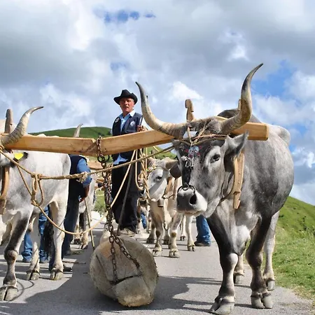 La Dimora Del Contadino 3*