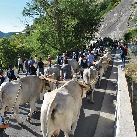 La Dimora Del Contadino Frühstückspension Pietrapertosa