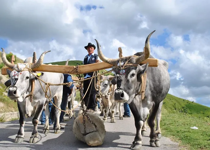 La Dimora Del Contadino 3*